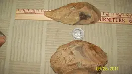 100_1308.webp