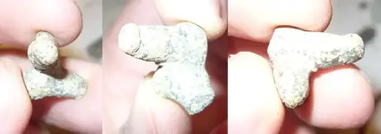 Phallic looking lead - confbeach11-11.webp