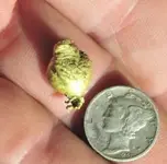Nugget Sept 3 2010.webp