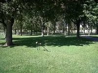 Lakeview Park 003.webp