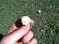 Lakeview Park 002.webp