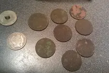 beaverflowcoins.webp