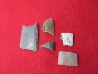 DSCF8121.webp