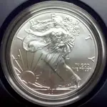 2011-S-ASE-unc-obverse-damage.webp