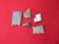DSCF8122.webp