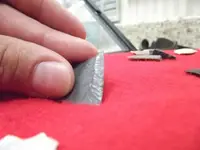 DSCF8124.webp