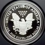 2011-W-ASE-proof-reverse-damage.webp