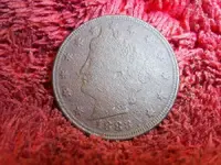 SUC50020.webp