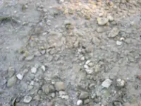MDing today 004.webp