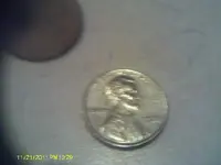 IMAG0220.webp