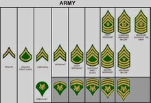 Army Insignias - Enlisted Rank.jpg
