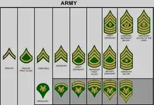 Army Insignias - Enlisted Rank.webp