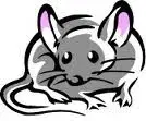 mouse.webp