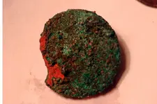 NH FINDS 09-28 014.webp