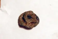 NH FINDS 09-28 011.webp