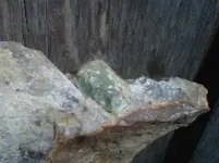IMG-20111009-00057.webp
