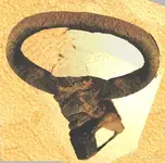 swivel.webp