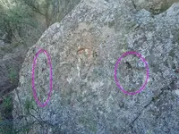 thumbmknotpriv.webp