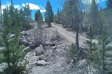 CacheCreek1.webp