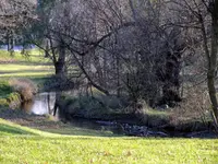 my fav park.webp
