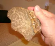 Creek find 014.webp
