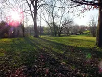 peek a boo sun.webp