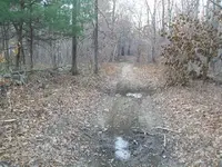 DEC 3RD CT COPPER NO IDEA 013.webp