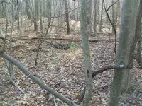 DEC 3RD CT COPPER NO IDEA 010.webp