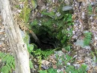 DEC 3RD CT COPPER NO IDEA 009.webp