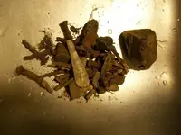 DEC 3RD CT COPPER NO IDEA 016.webp