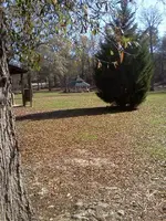 great park2.webp