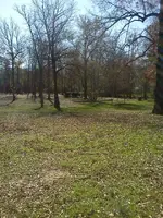 great park1.webp