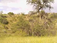 Santa Ritas 3.webp