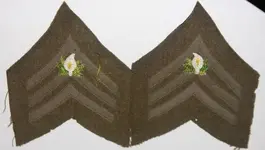 Knights of Pythias Uniform Chevrons for Chapalin (700x397).webp