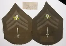 Knights of Pythias Uniform Chevrons for Sentinel (700x494).webp