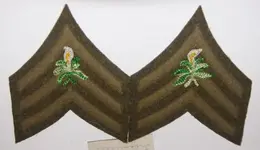 Knights of Pythias Uniform Chevrons for Treasurer (700x405).webp