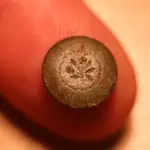 NH FINDS 11-11 013.webp