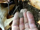 NH FINDS 11-11 020.webp