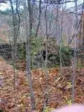 NH FINDS 11-11 018.webp