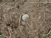 DSCN6070.webp
