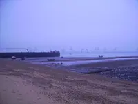 cat 122.webp