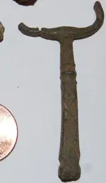 found in woods other side.webp