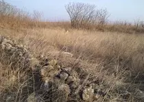 Untitled-1.webp