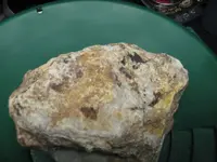 Specimen 1.webp