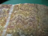 Specimen11.webp