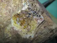 Specimen12 cut corner.webp
