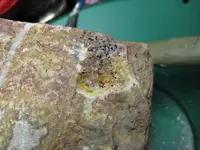 Specimen14 cut corner.webp