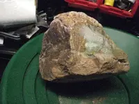 Specimen9.webp