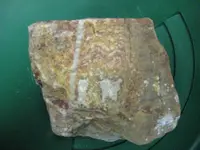 Specimen16.webp