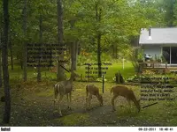 OhDear..webp